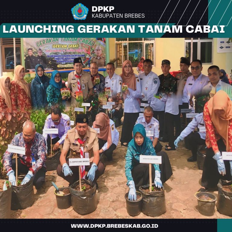 WhatsApp-Image-2024-08-01-at-09.39